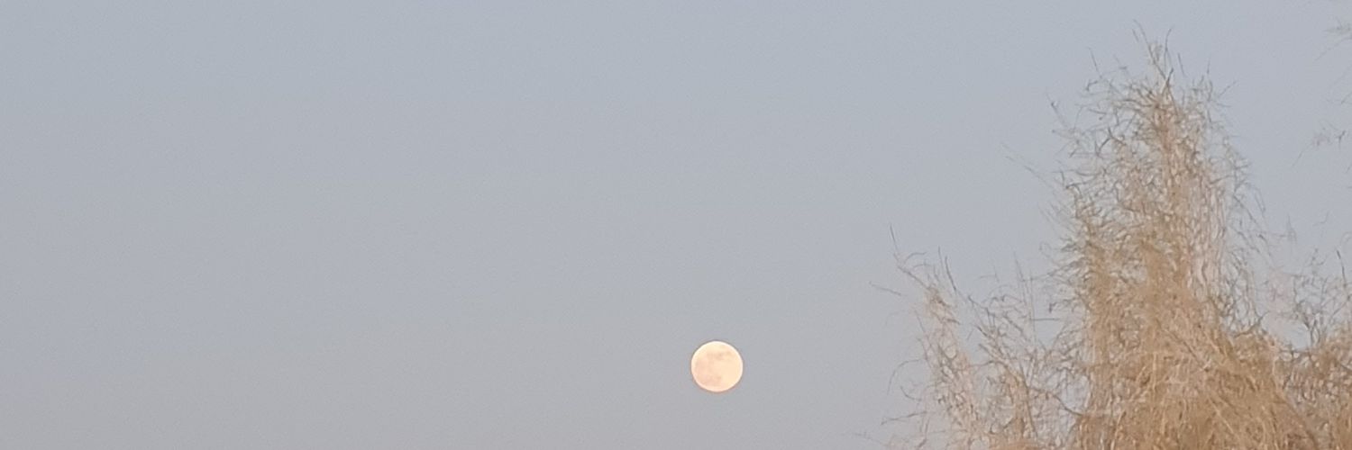 عبدالله الجربوع banner