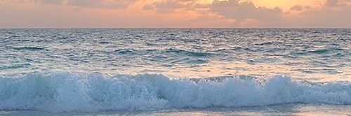 barbi banner