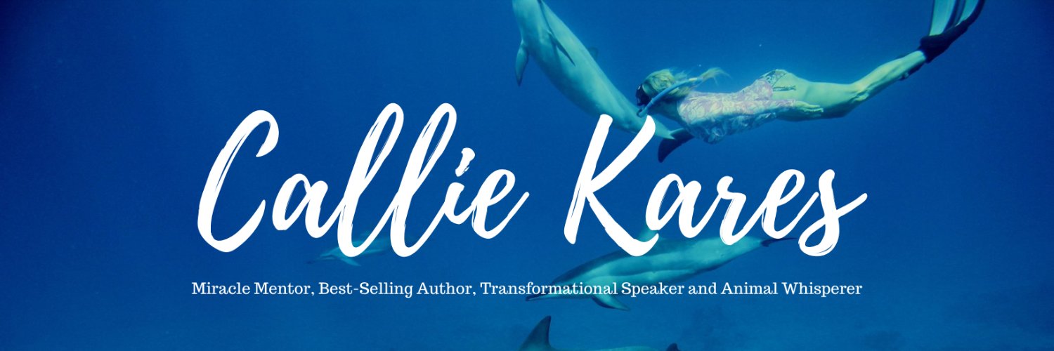 CallieKares's profile banner image