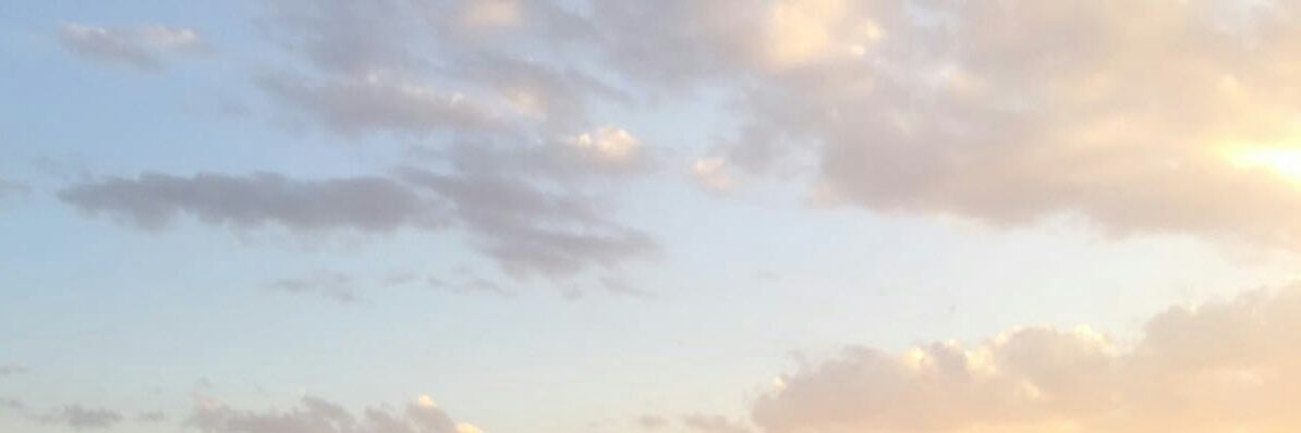Nevinper's profile banner image