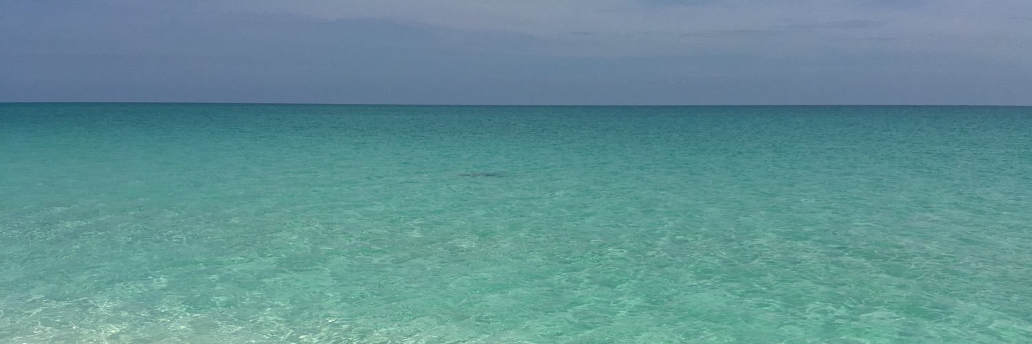 Samantha Gemmell banner