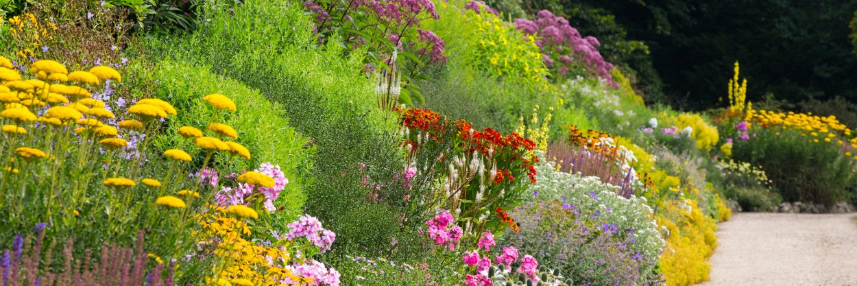 Waterperry Gardens banner