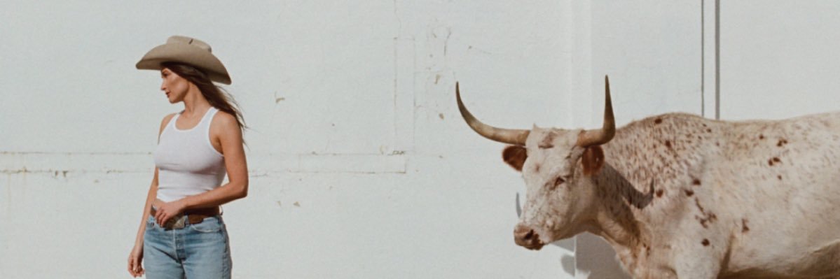 vicc 𐚁⊹₊ banner