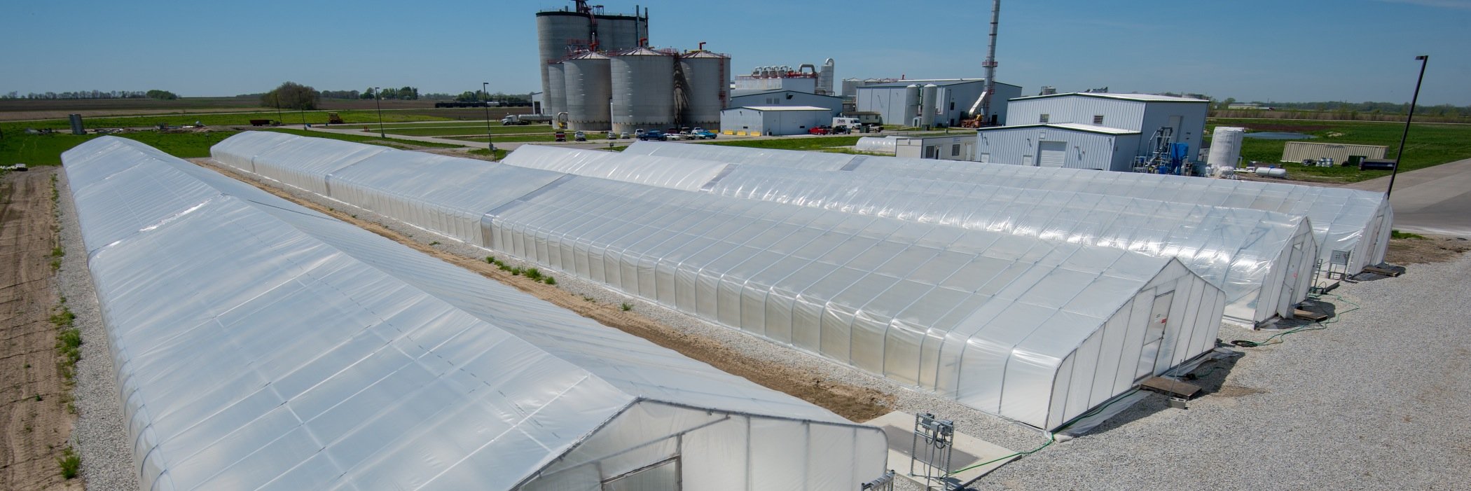 BioProcess Algae banner