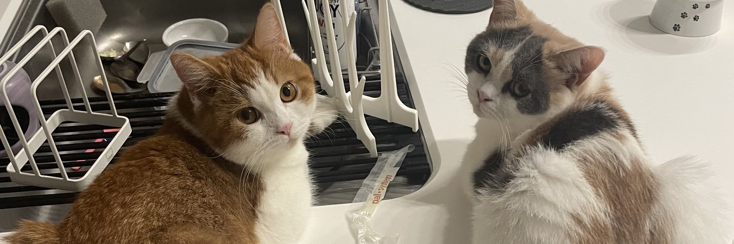 棚瀬(TANASE Yasushi) banner