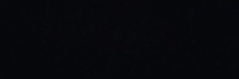 liztrayner's profile banner image