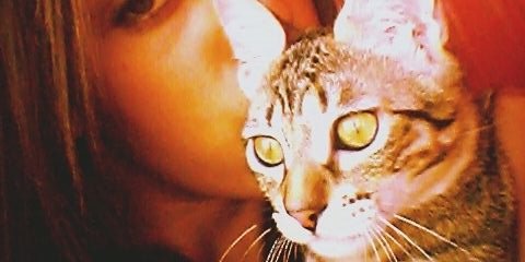 Jeesy97's profile banner image