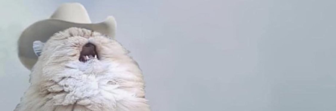 Alexxval18's profile banner image