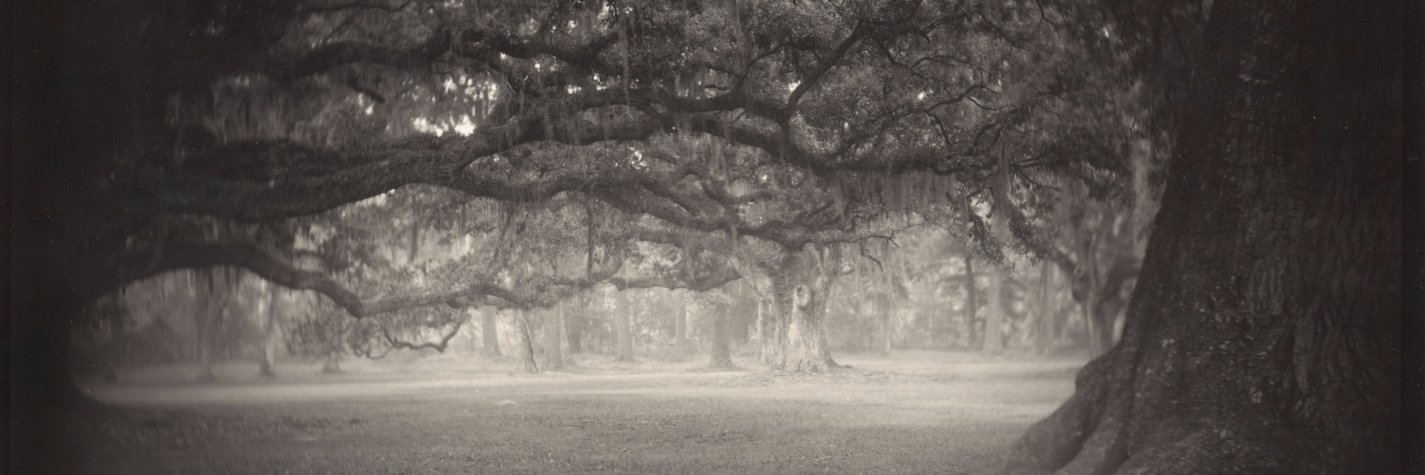 Maya Fridman banner