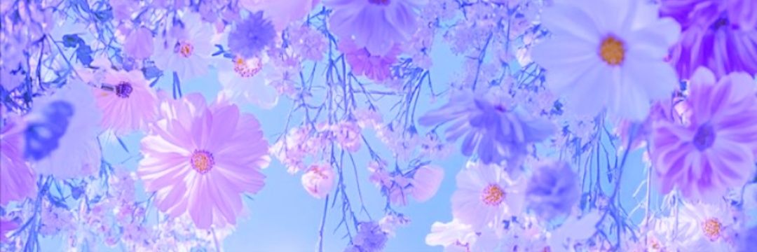 mia_s180's profile banner image