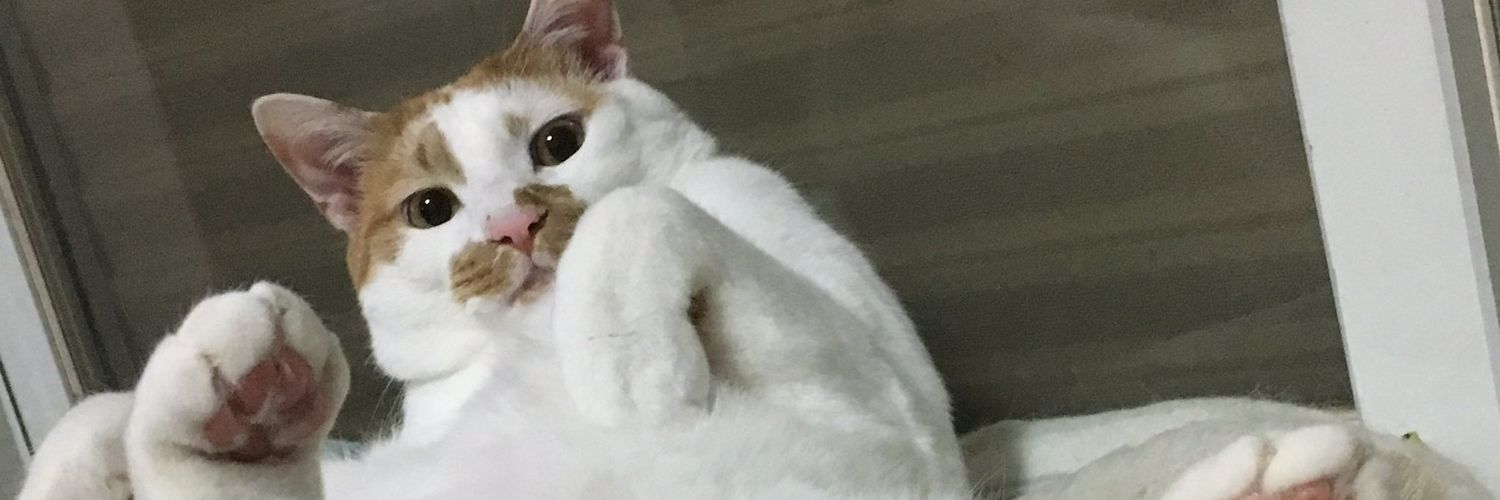 TzXdfe's profile banner image