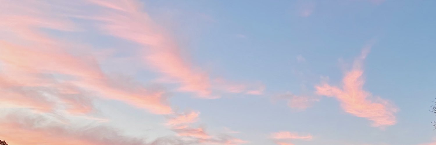 annsmarr's profile banner image