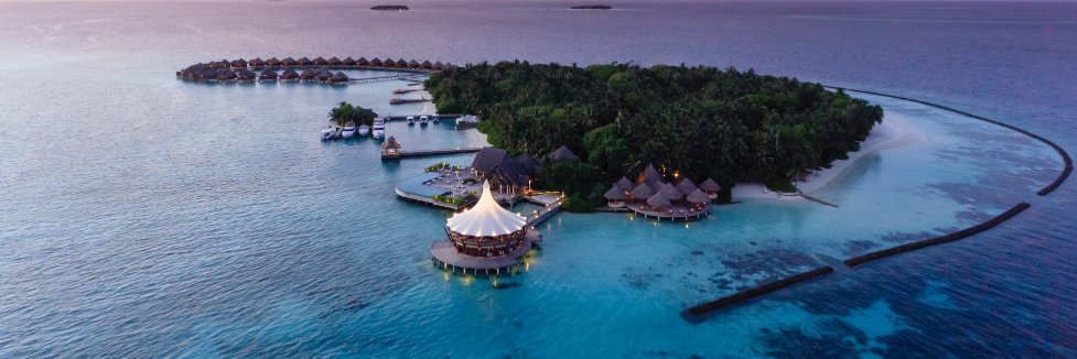 PerowneInternational banner