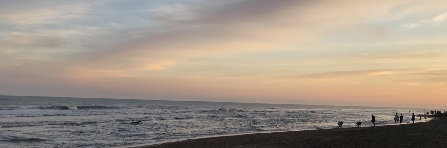Lauracear's profile banner image