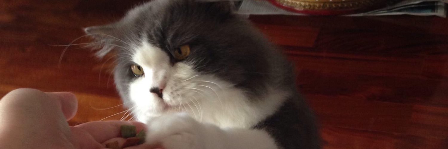 Silentway🌖 banner