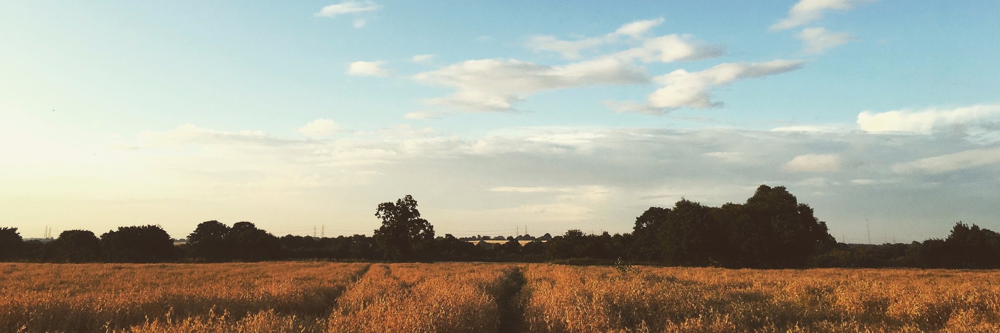 Simply_suffolk's profile banner image