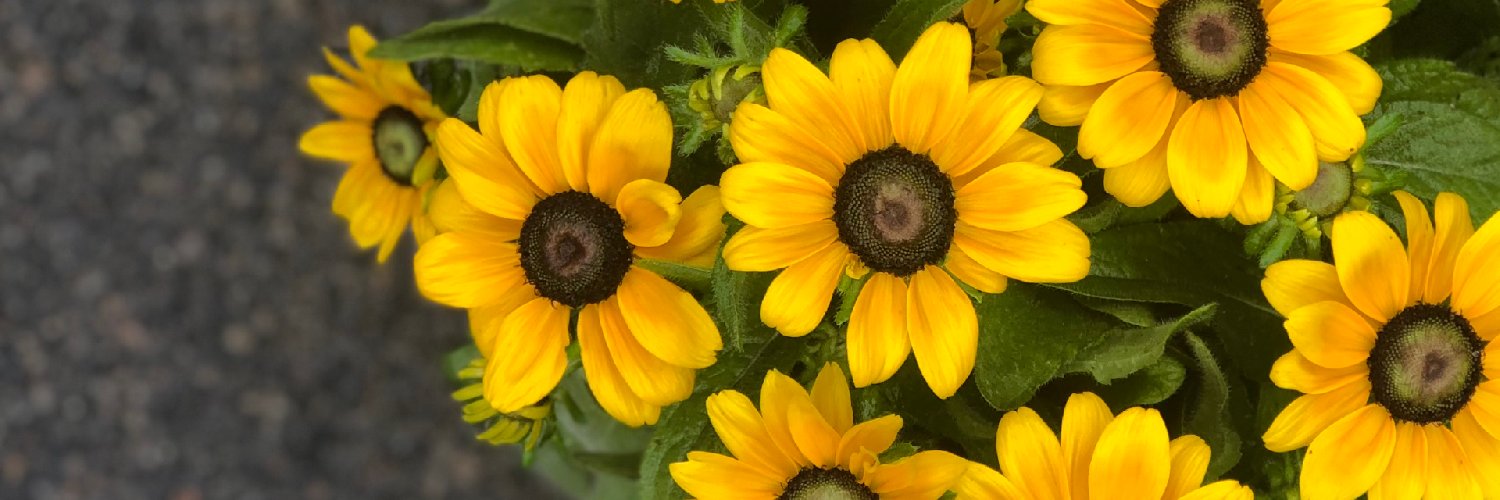 Logan's Garden Shop banner