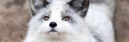hirohiro39234's profile banner image
