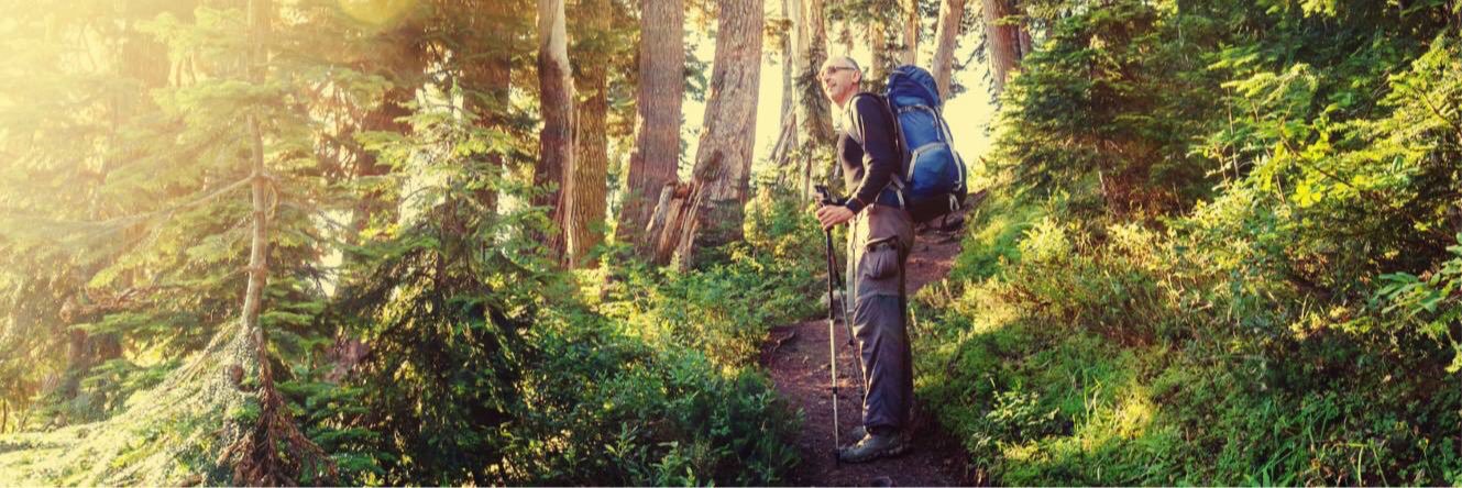 The Trail Shop banner