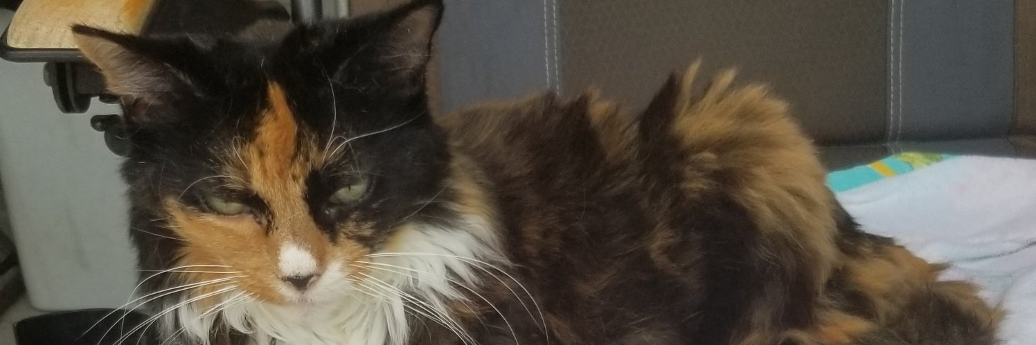 pondus Hydrogenii banner