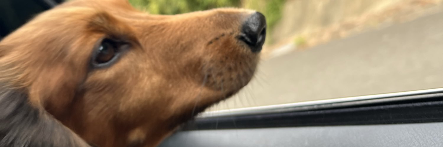 _slm6a's profile banner image