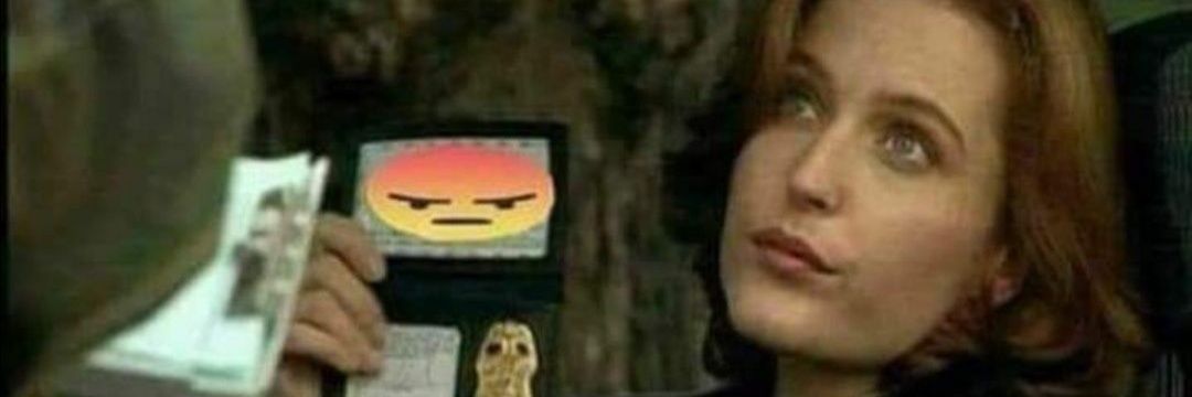 ʚ⊱bones⊰ɞ banner