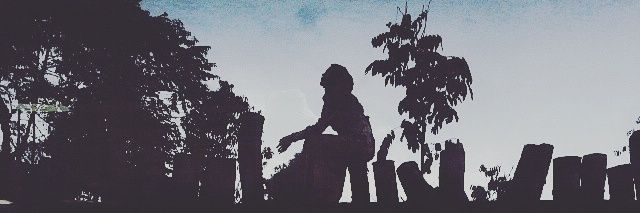 shahgiLLer's profile banner image
