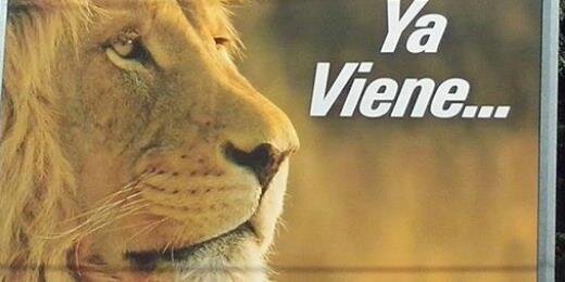 Presidente_PLD's profile banner image