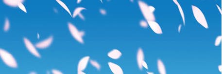 mint83977233's profile banner image