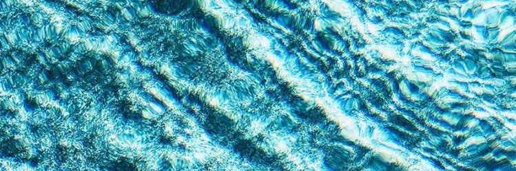 Mia_Zito's profile banner image