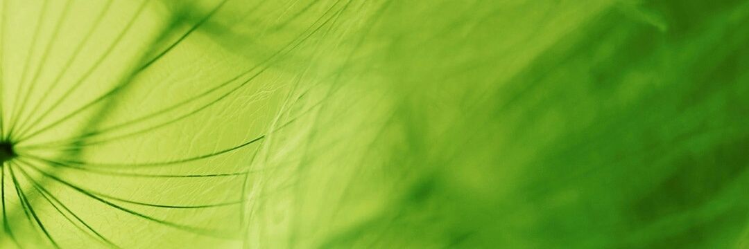 sprabur's profile banner image