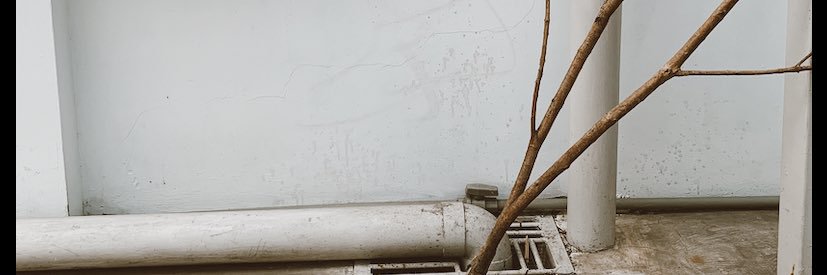alinpuralin's profile banner image