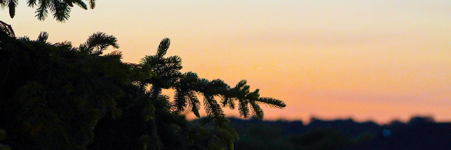 GWinkels's profile banner image