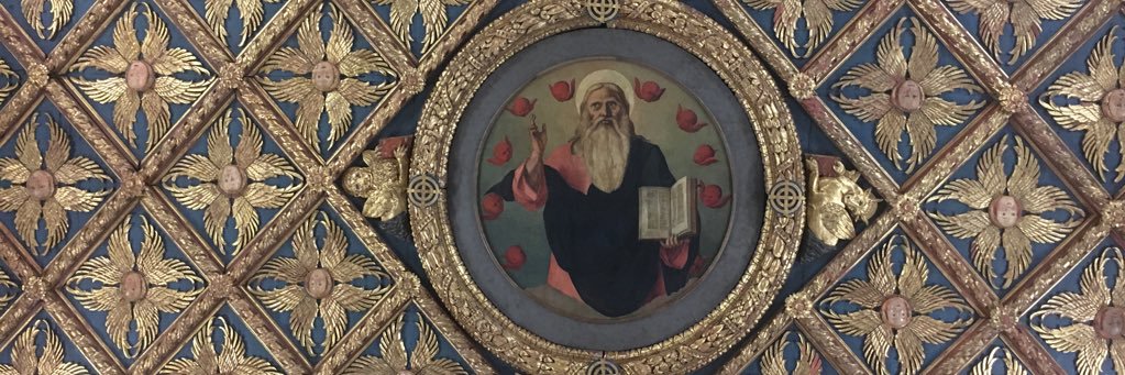Dr Róisín Bailey banner