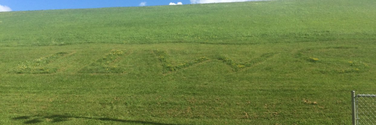 Maine-Endwell LL banner