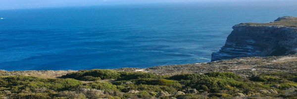 M_Arhangelskis Profile Banner