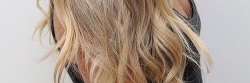 sashasmargot's profile banner image