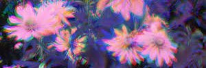 KassidyToombs's profile banner image