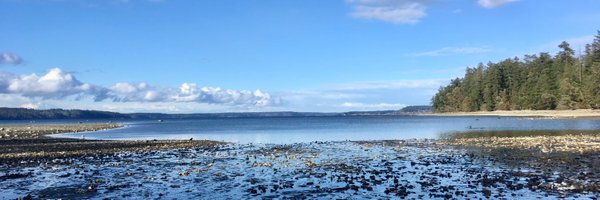 julishells Profile Banner