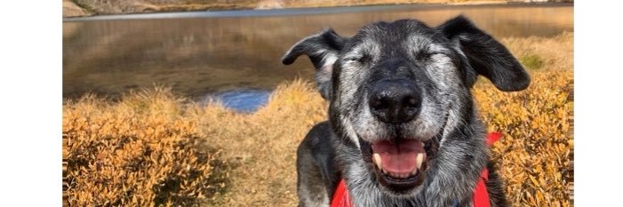 katie☀️🍜 banner