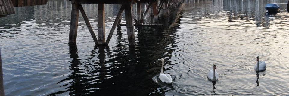 CaitReed427's profile banner image