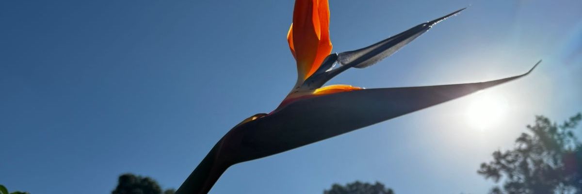 JaFRo_5's profile banner image