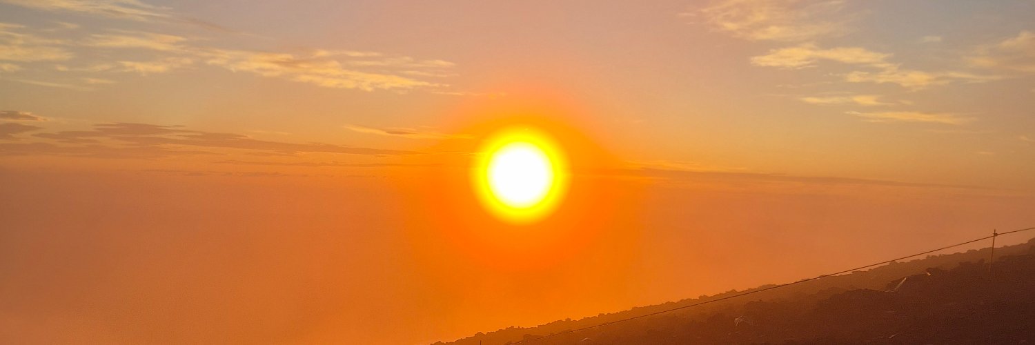 _iguana_morida_'s profile banner image