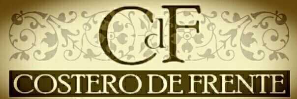 costerodefrente's profile banner image
