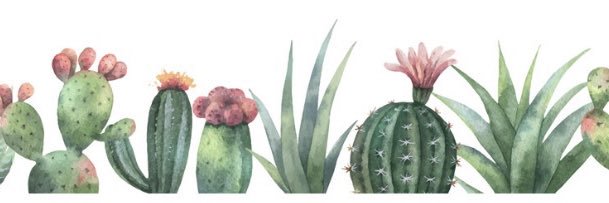 JosynelC's profile banner image