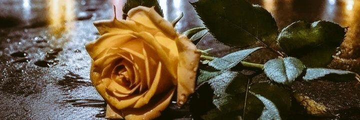 naash100's profile banner image