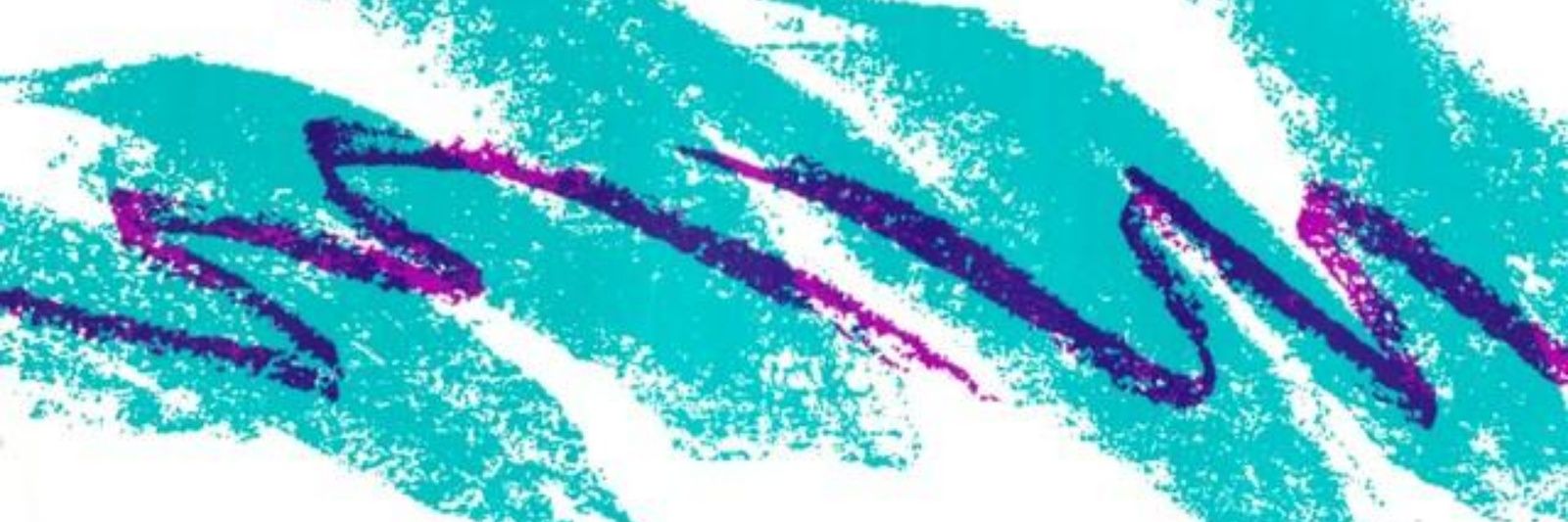 Dr. Monitor PhD 💻 🤖 banner