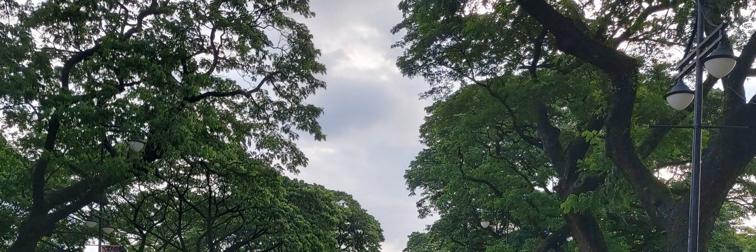 KuyaKaloy14's profile banner image