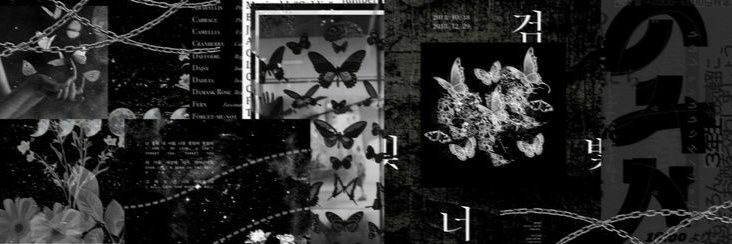 br_cleoo's profile banner image