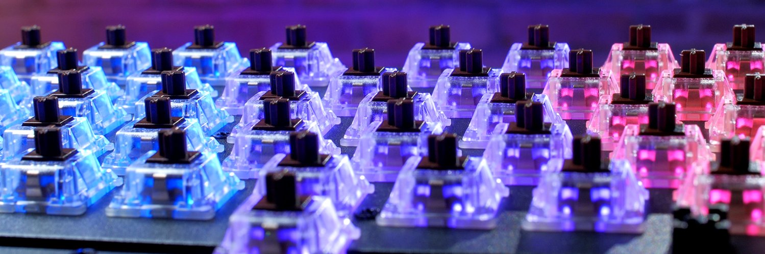 Lauren TastyPC banner